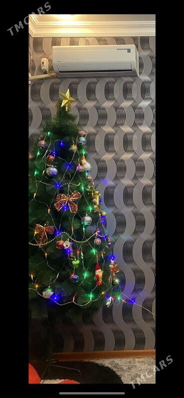 Ŷolka - Balkanabat - img 1