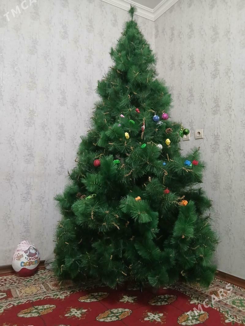 taze yyl yolkasy - Ашхабад - img 1