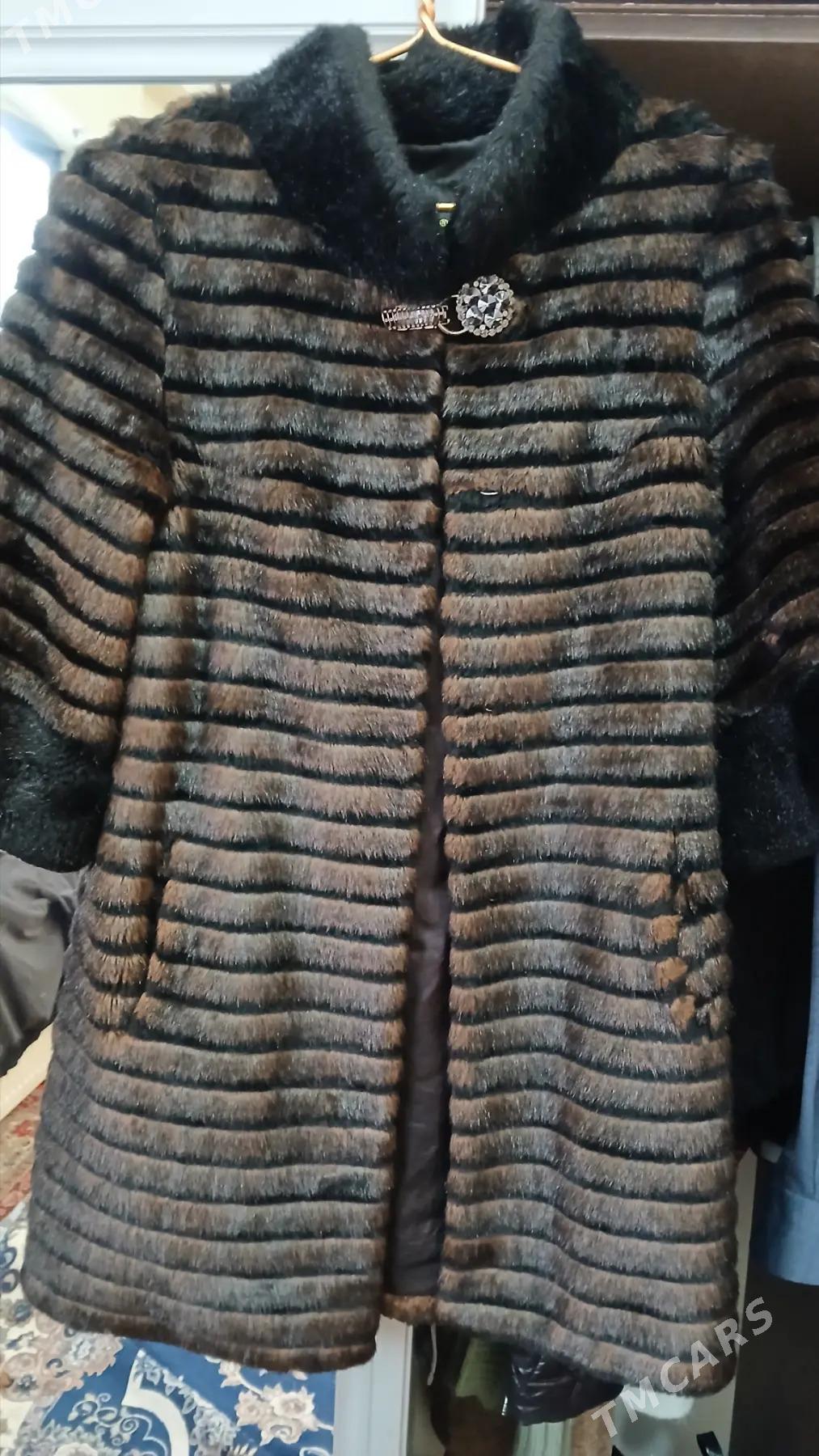 satlyk Şuba - Parahat 3 - img 2