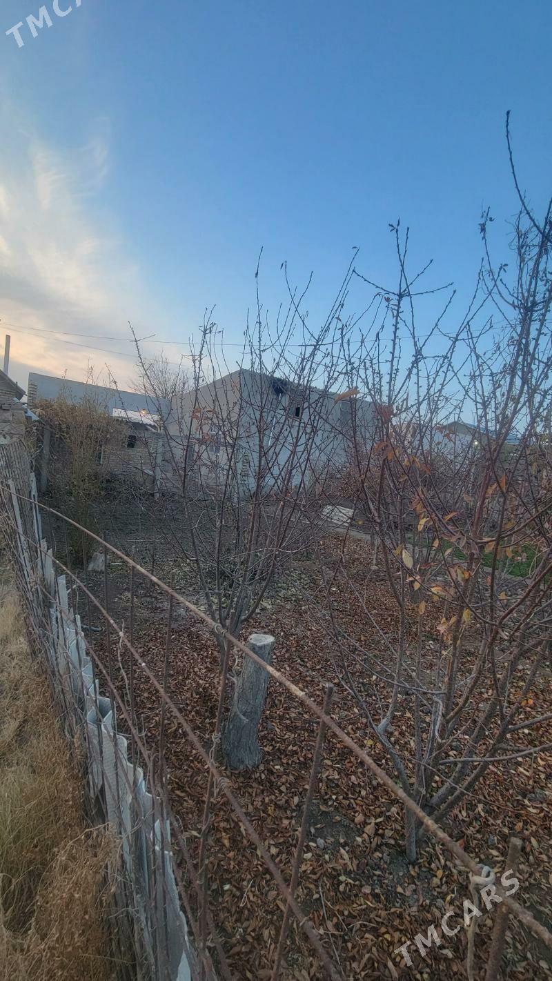 Ayraport daca - Туркменабат - img 3