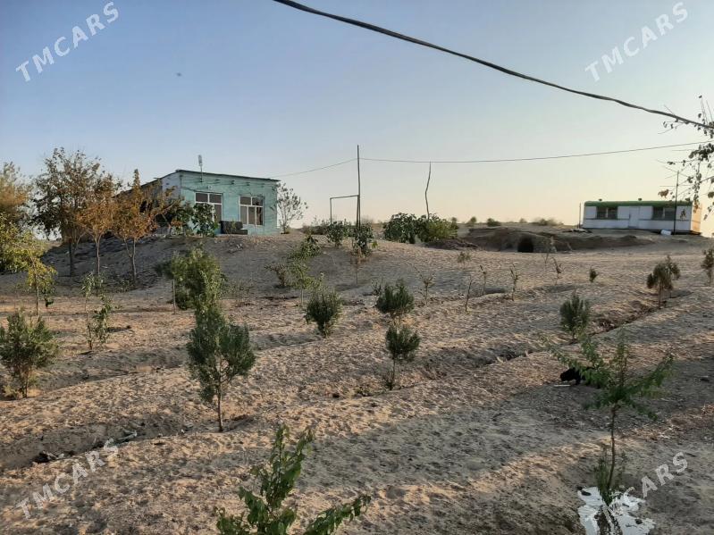 Satlyk yer - Ruhabat (90-njy razýezd) - img 1