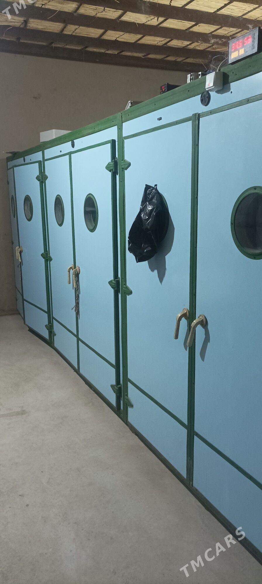 inkubatora yumurtga - Сакарчага - img 1