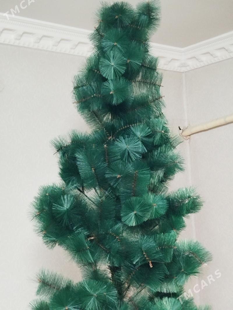 yolka - Анев - img 1