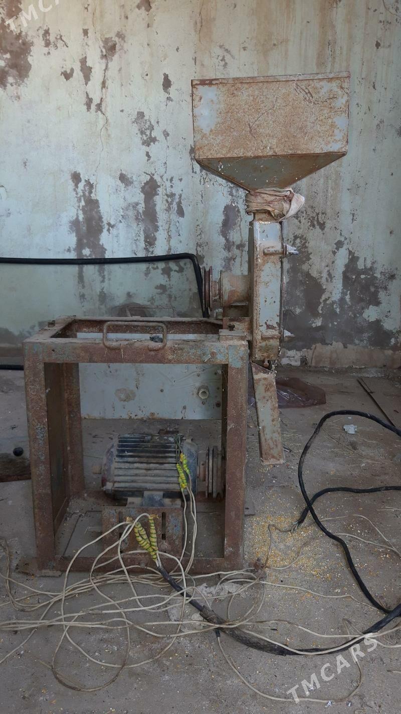 drabilka - Baýramaly - img 3