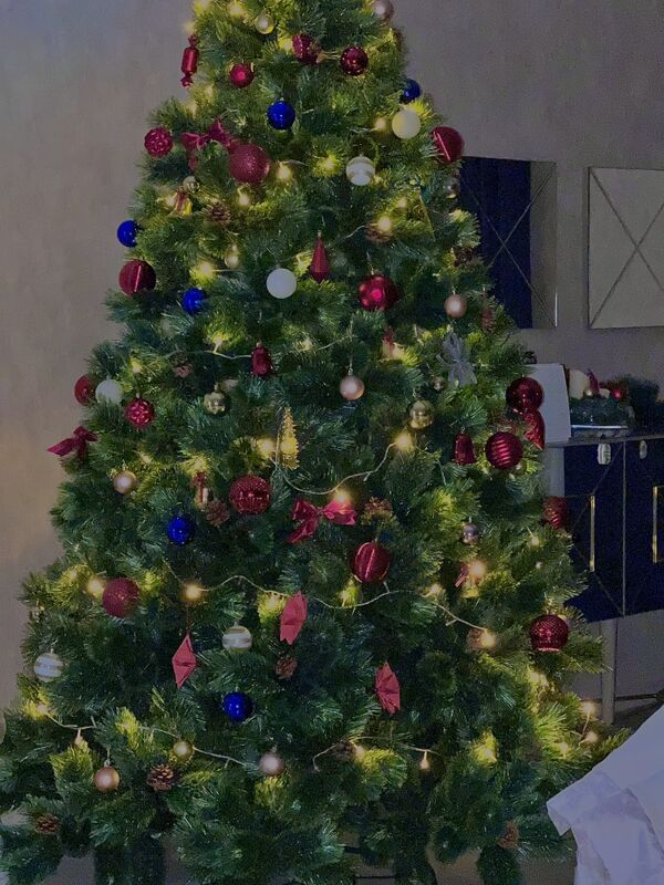 Ёлка / Arça - Туркменбаши - img 2