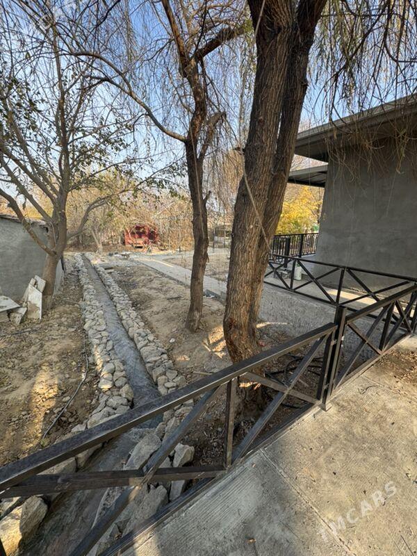 Bagyr çeşmäň boýy - Багир - img 1