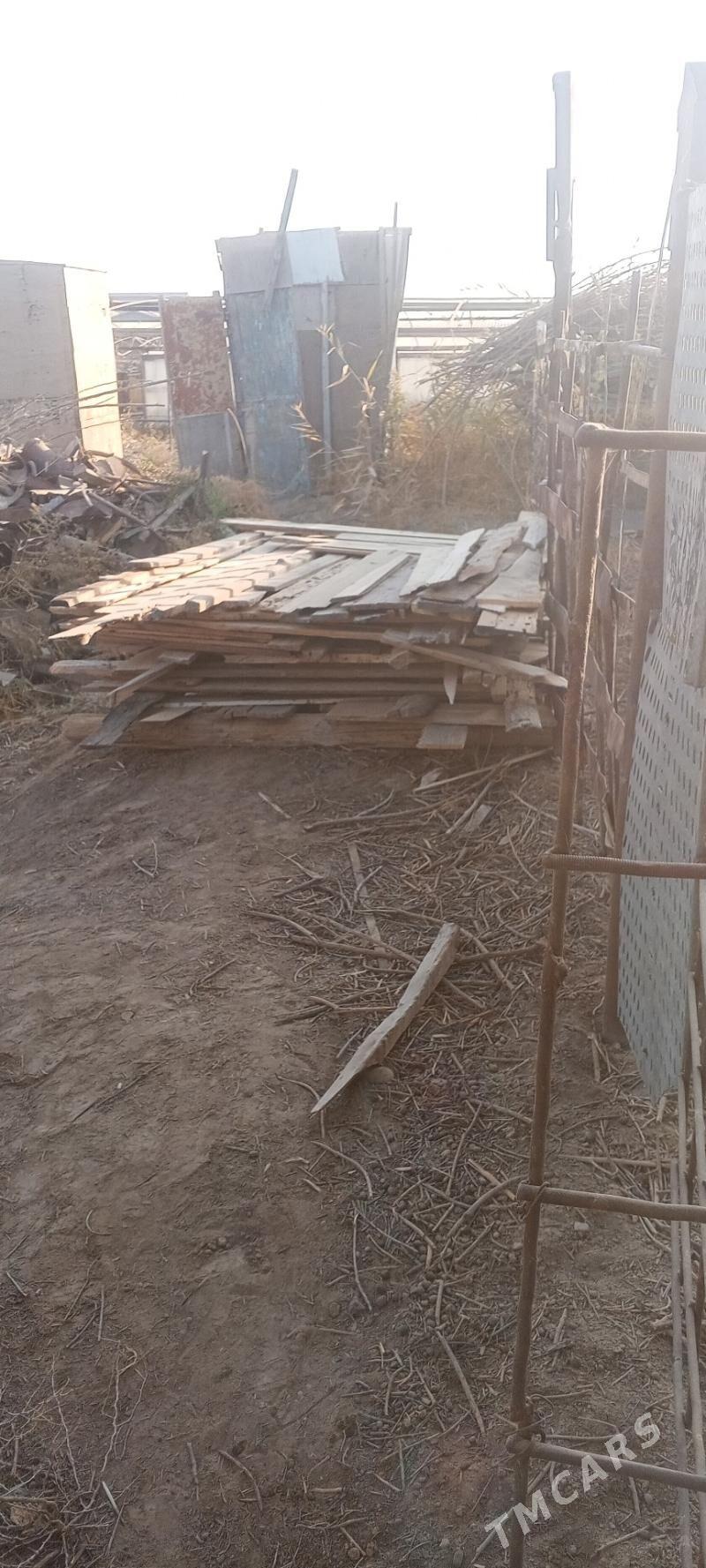 tuveletlik agac - Murgap - img 4