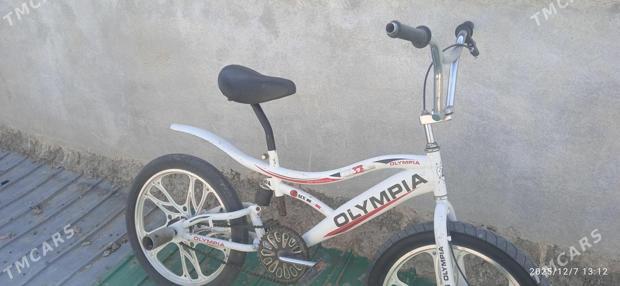 tigir - Ак-Бугдайский этрап - img 1