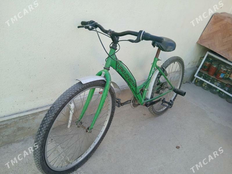 velik. tigir - Balkanabat - img 2