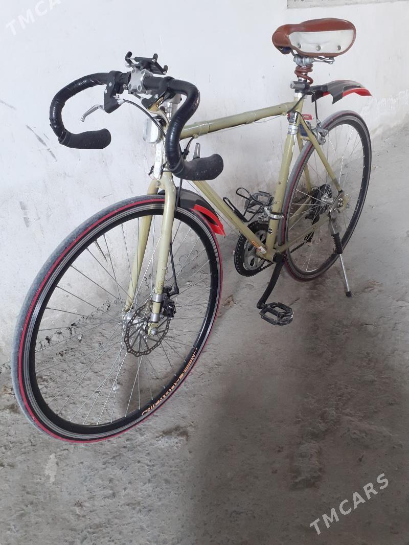 Spartiwny tigir - Büzmeýin - img 2