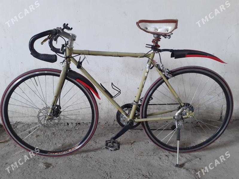 Spartiwny tigir - Büzmeýin - img 1