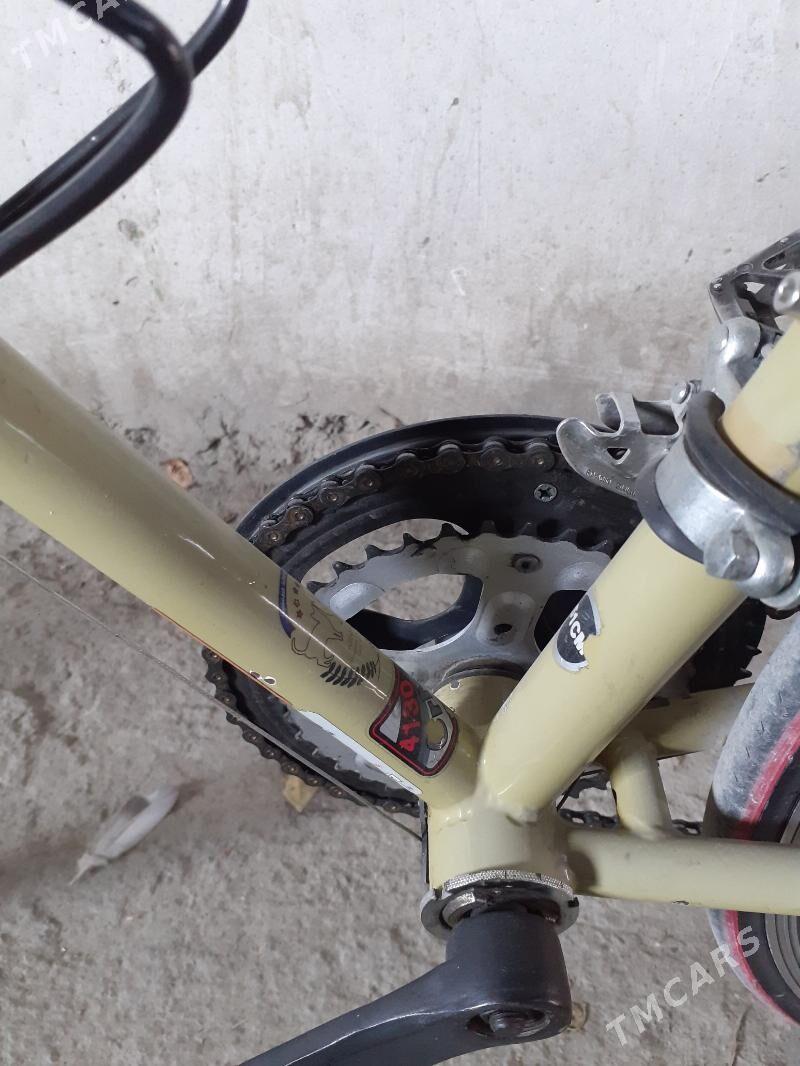 Spartiwny tigir - Büzmeýin - img 4