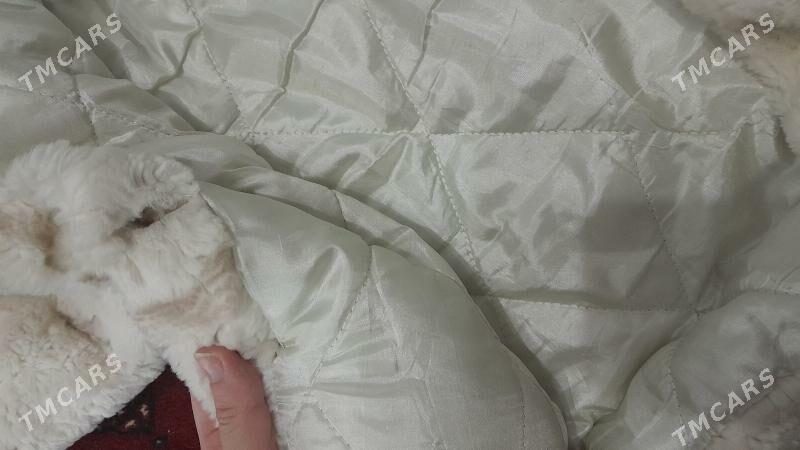 șuba - Daşoguz - img 4