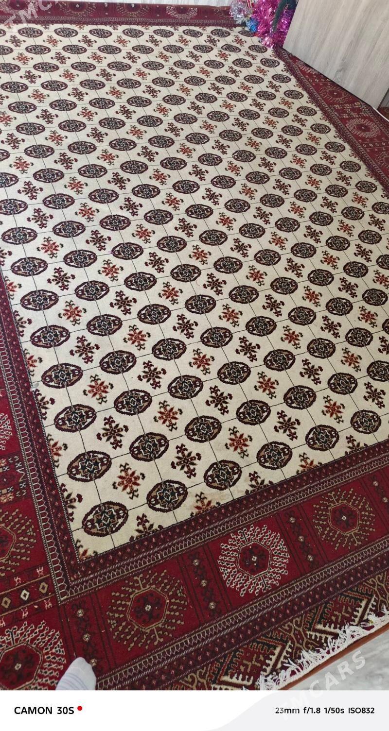 Haly - Ашхабад - img 2