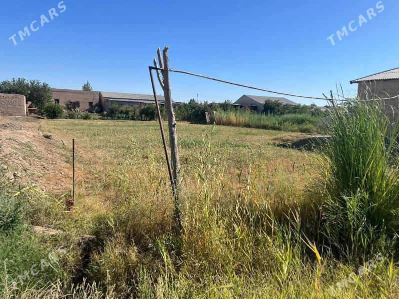 Jay - Дянев - img 4