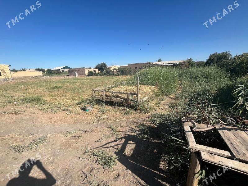 Jay - Дянев - img 2