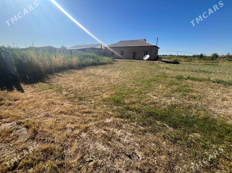 Jay - Дянев - img 3