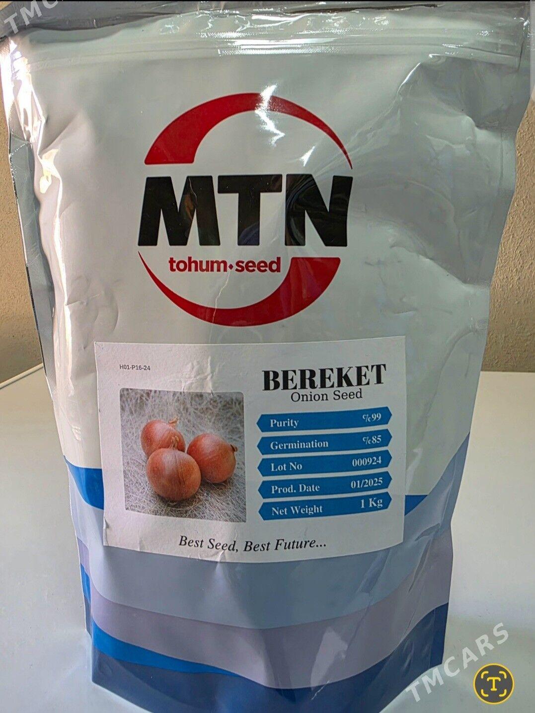 SOGAN TOHUMY (ÝAZLYK) BEREKET - Parahat 3 - img 1