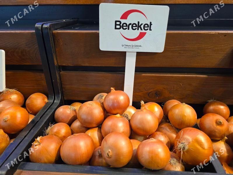 SOGAN TOHUMY (ÝAZLYK) BEREKET - Parahat 3 - img 5