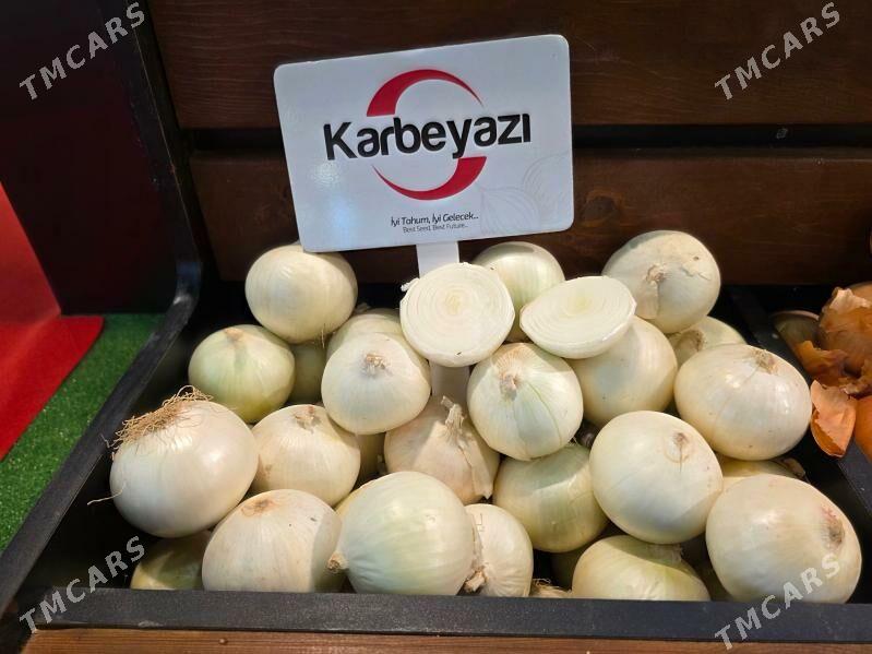 SOGAN TOHUMY (ÝAZLYK) BEREKET - Parahat 3 - img 3