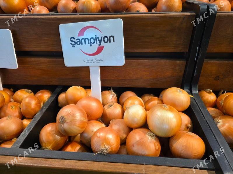 SOGAN TOHUMY (ÝAZLYK) BEREKET - Parahat 3 - img 4