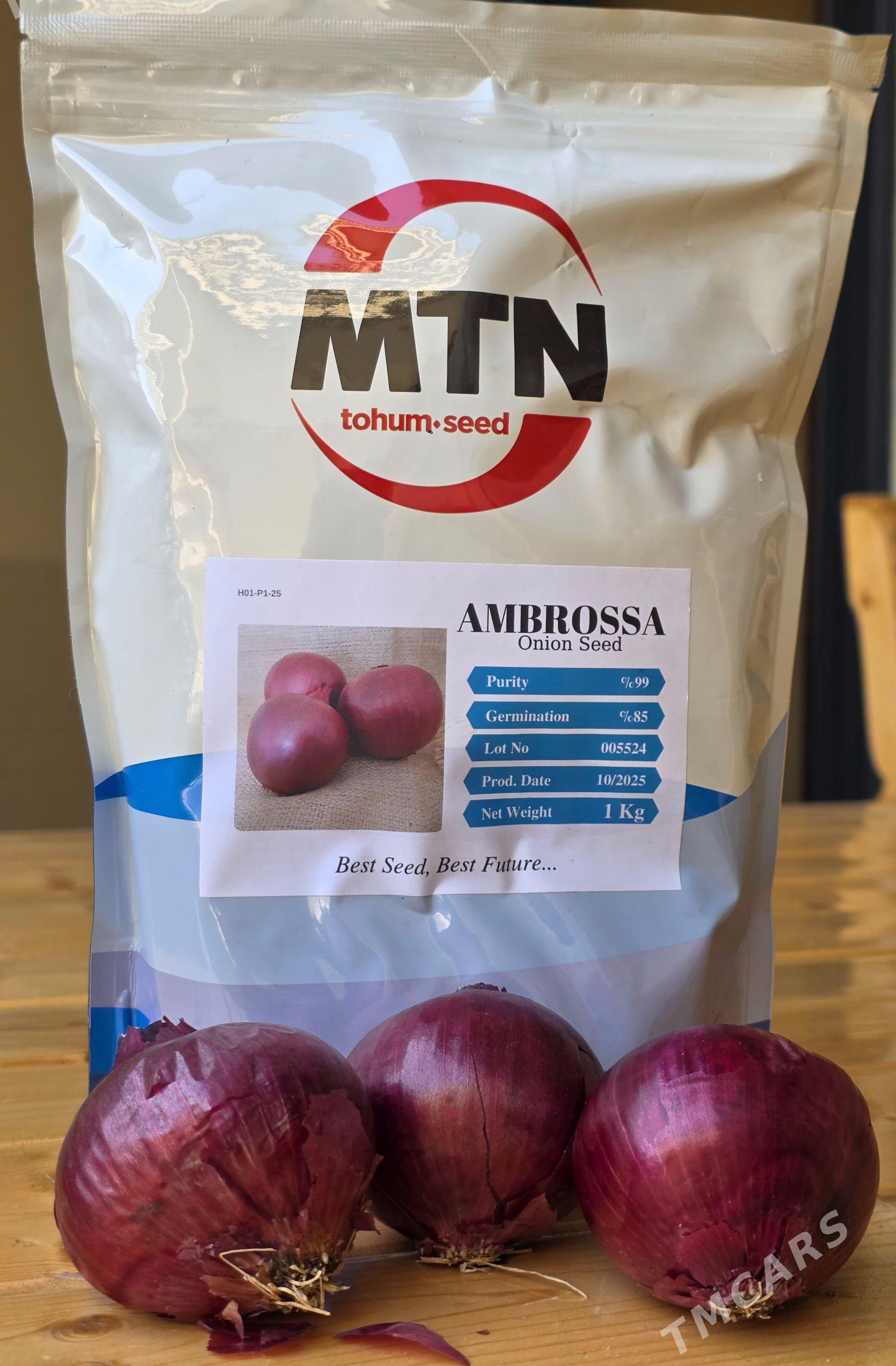 SOGAN TOHUMY (ÝAZLYK) BEREKET - Parahat 3 - img 2