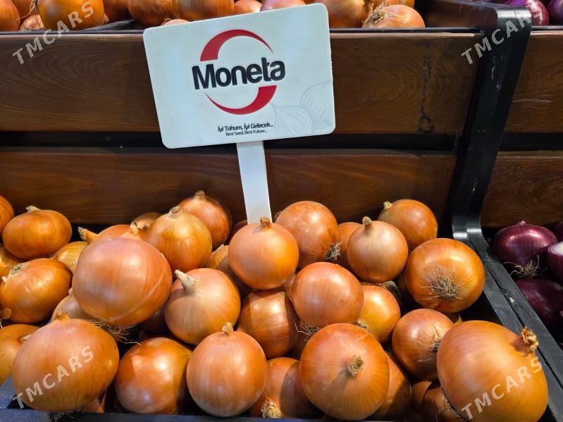 SOGAN TOHUMY (ÝAZLYK) BEREKET - Parahat 3 - img 6