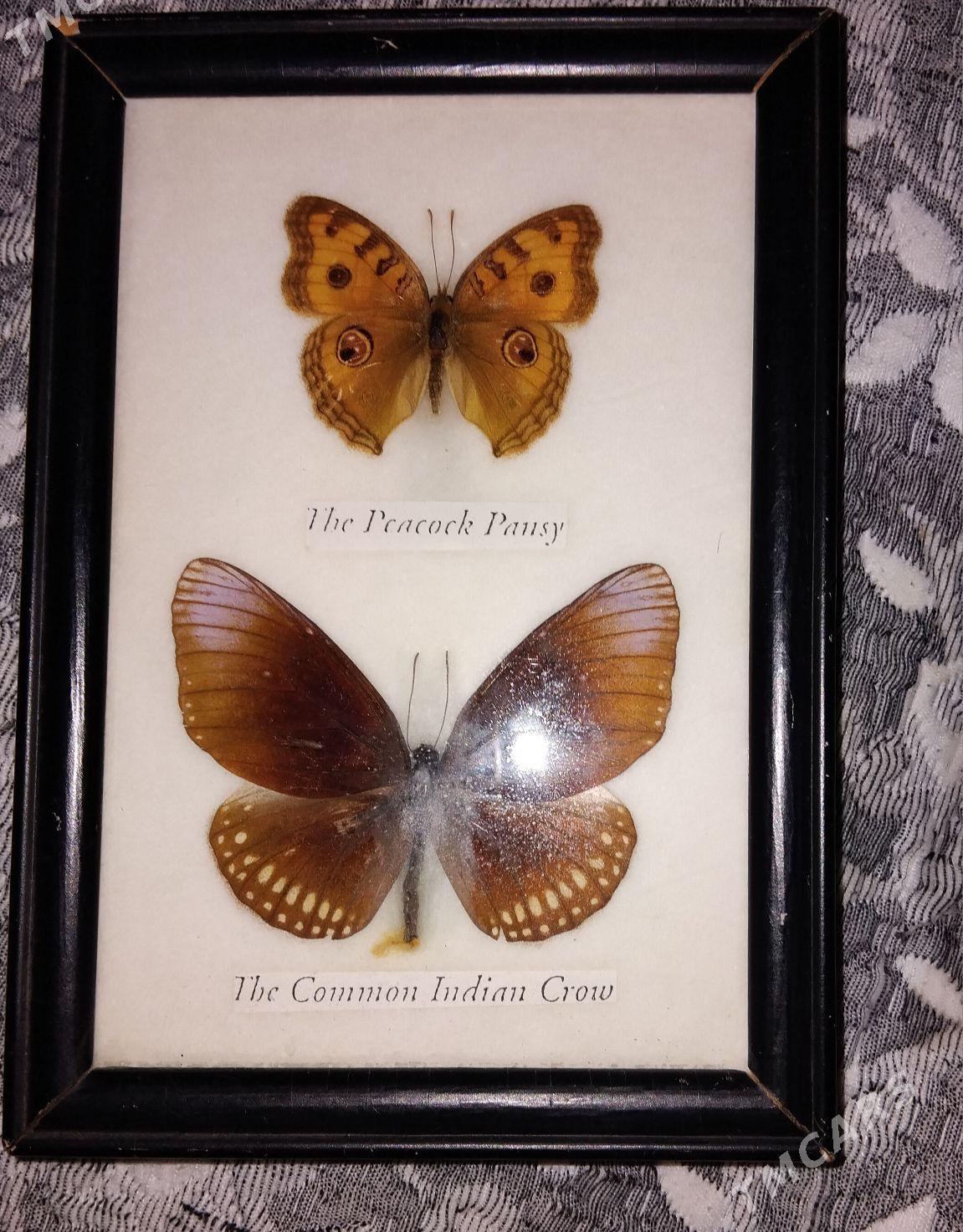 Сувенир - Ашхабад - img 1