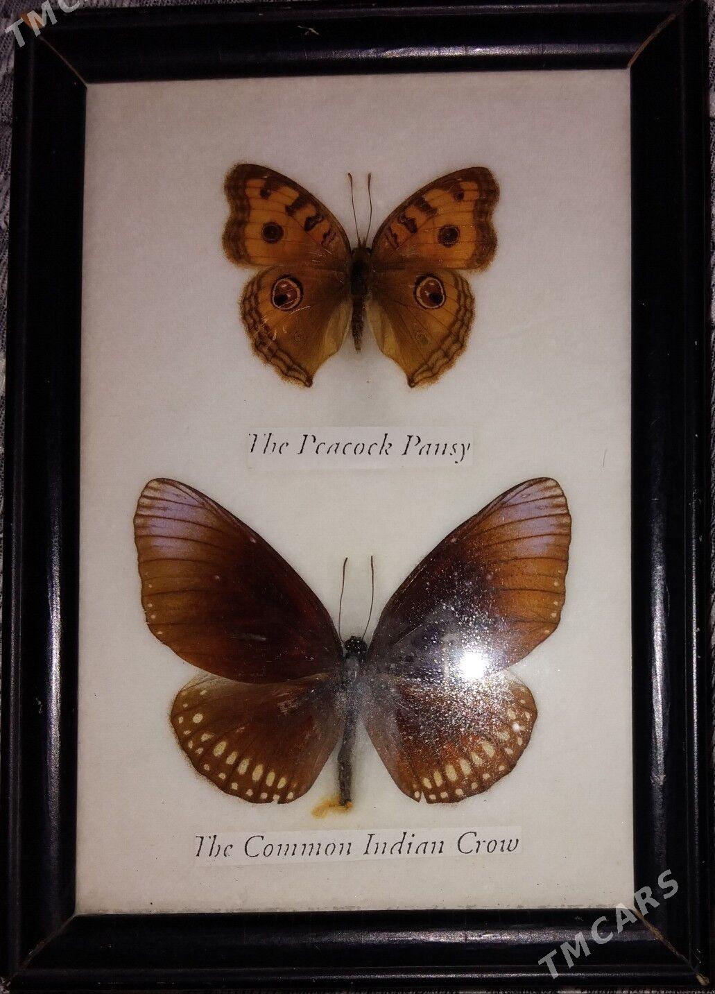 Сувенир - Ашхабад - img 2