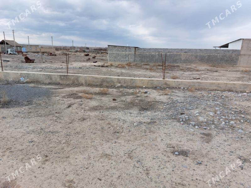 Kaka saher mellek yer 16 sotok - Kaka - img 6