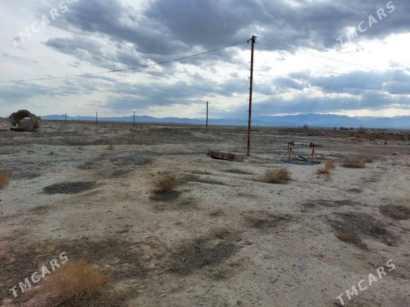 Kaka saher mellek yer 16 sotok - Kaka - img 5