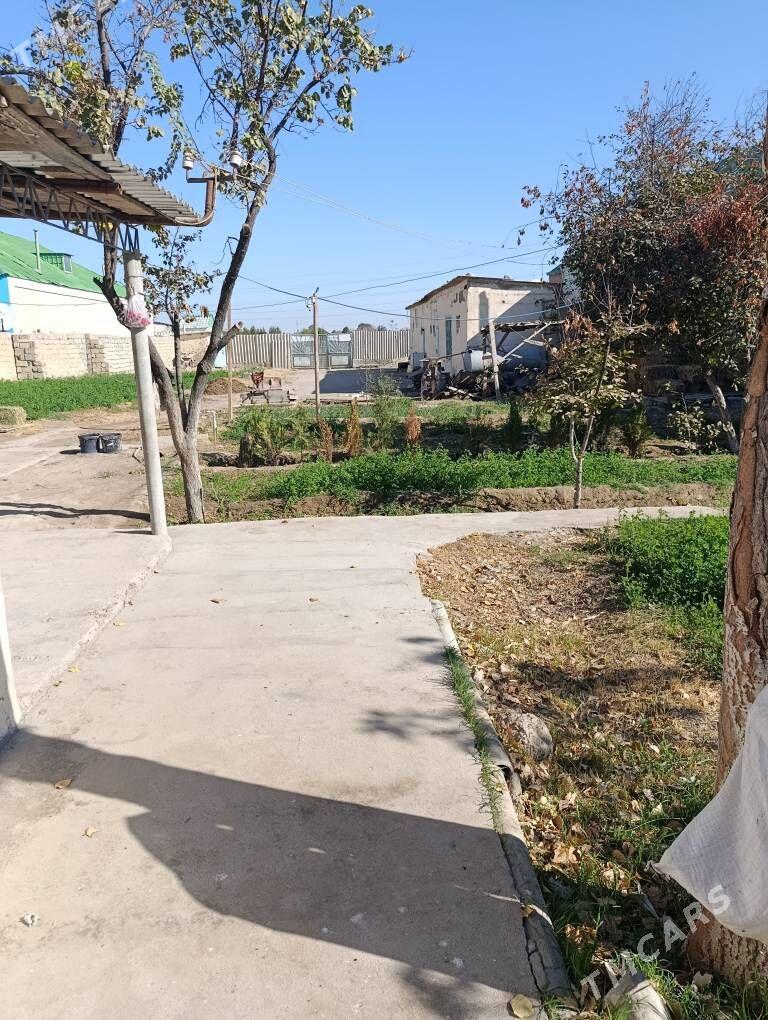 melelk yer - Bagyr - img 3