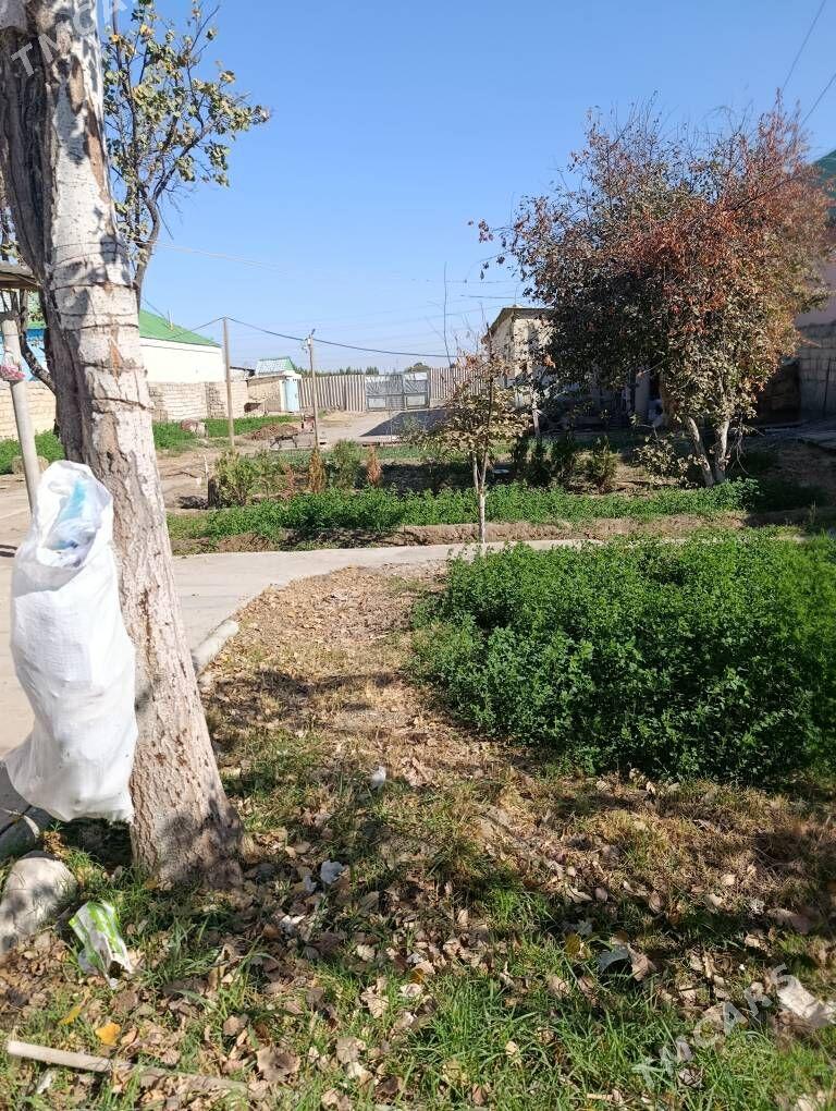 melelk yer - Bagyr - img 4