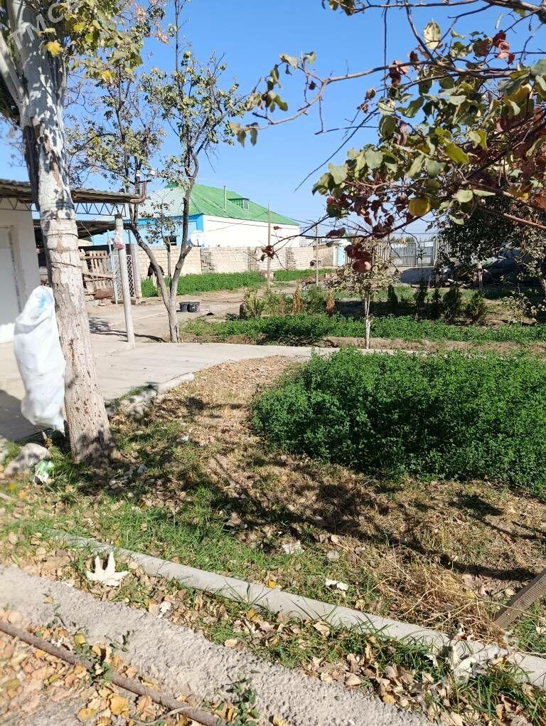 melelk yer - Bagyr - img 2