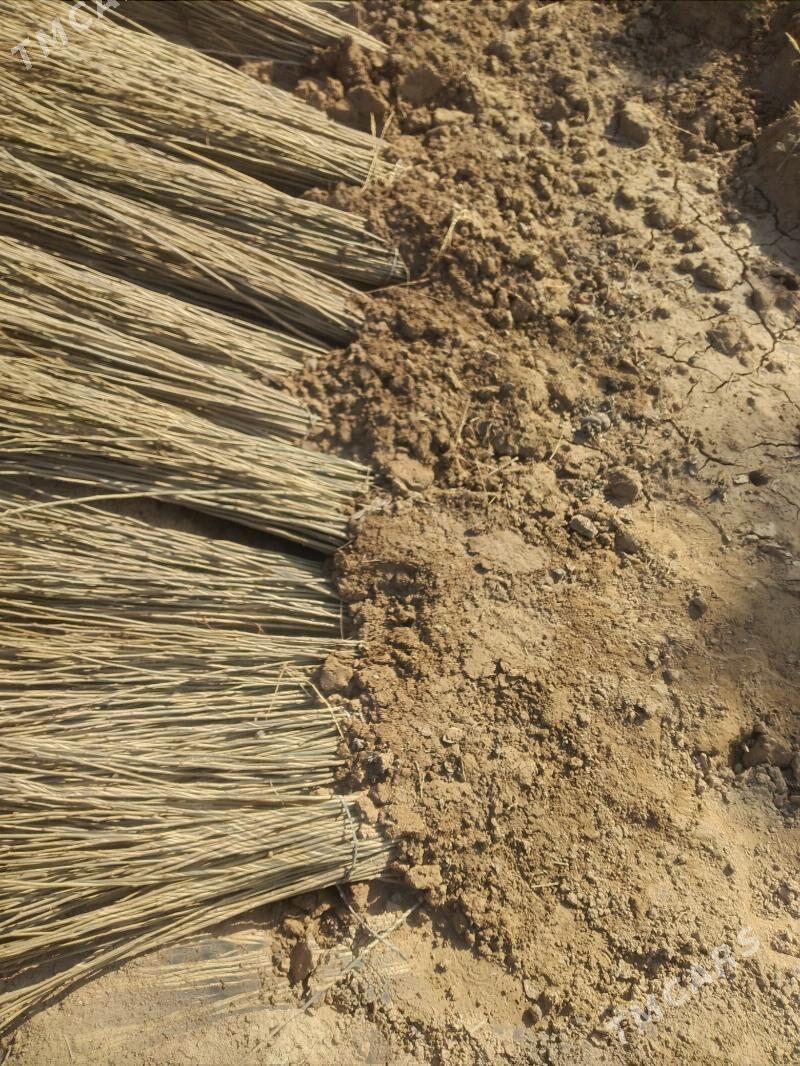 Тут нахалы - Köpetdag şaýoly - img 3