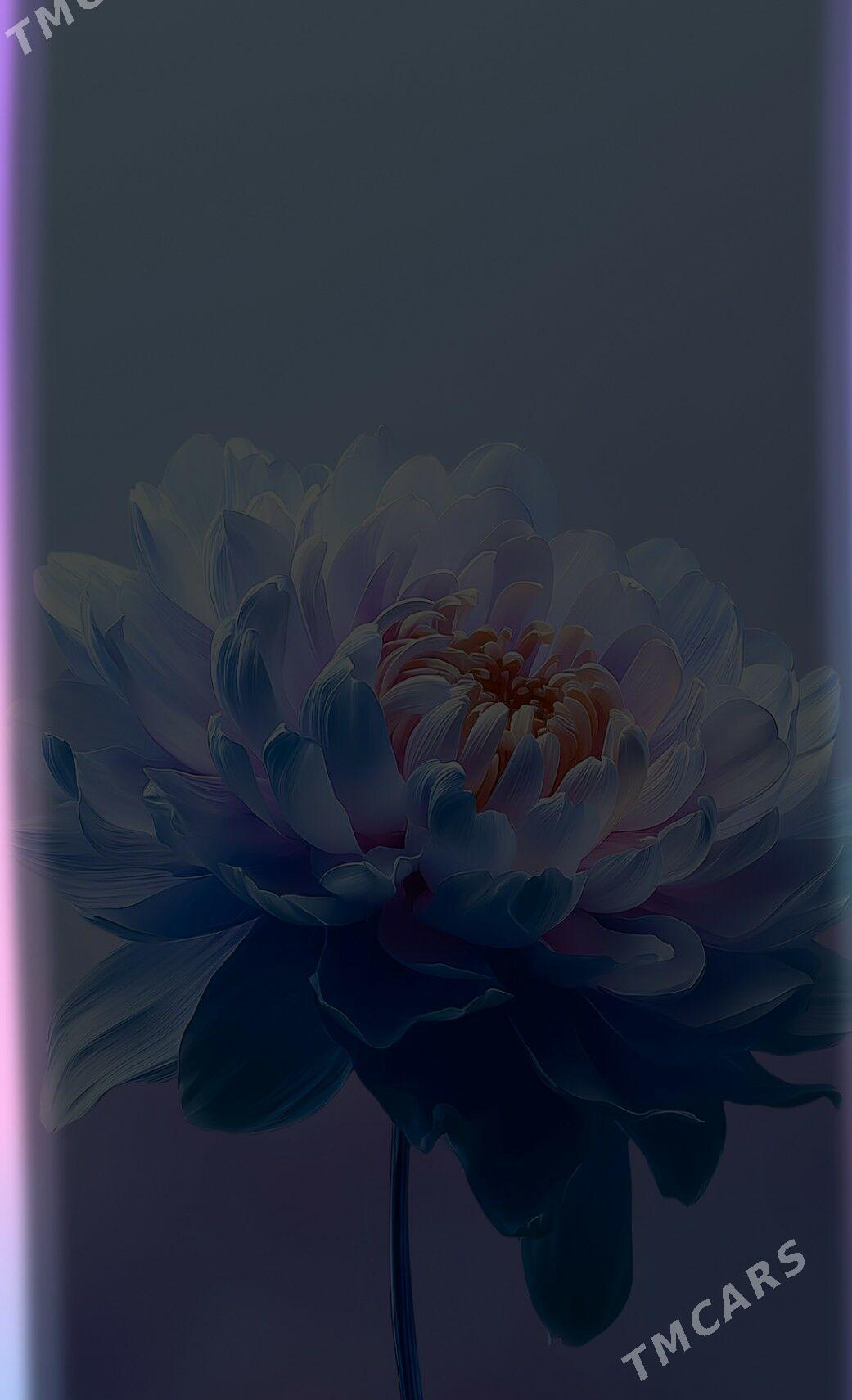 redmi not 13 - Ашхабад - img 4