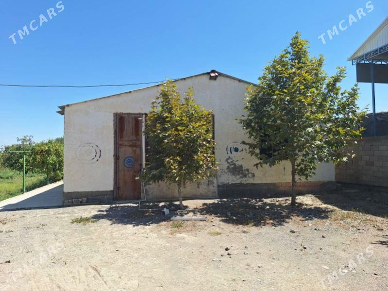 satlyk jaý_kelejar plan - Гёкдепе - img 6