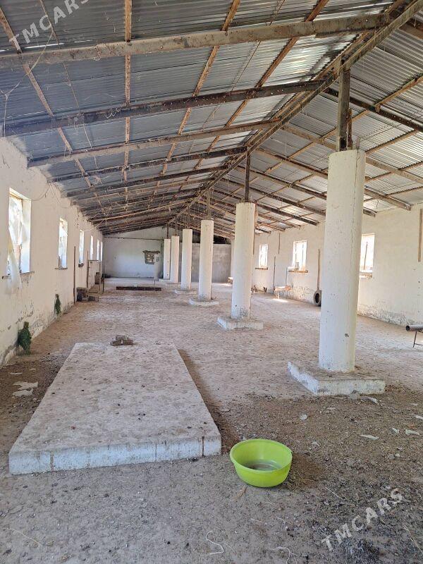 satlyk jaý_kelejar plan - Гёкдепе - img 7