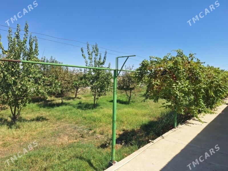 satlyk jaý_kelejar plan - Гёкдепе - img 8