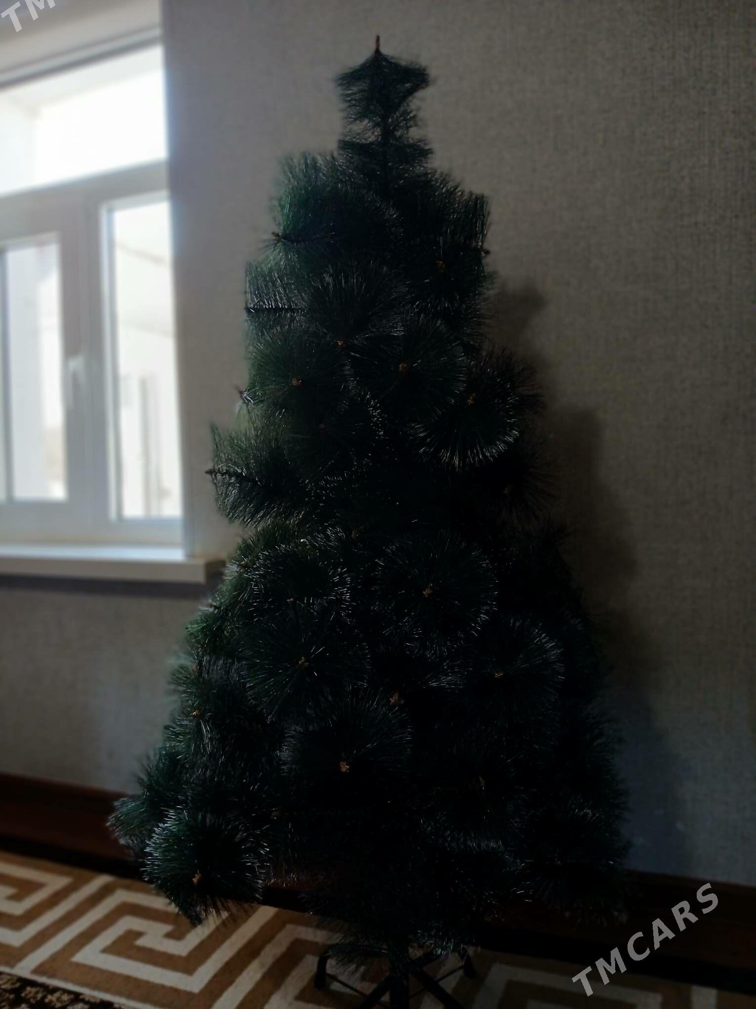 arça-ÿolka - Balkanabat - img 1