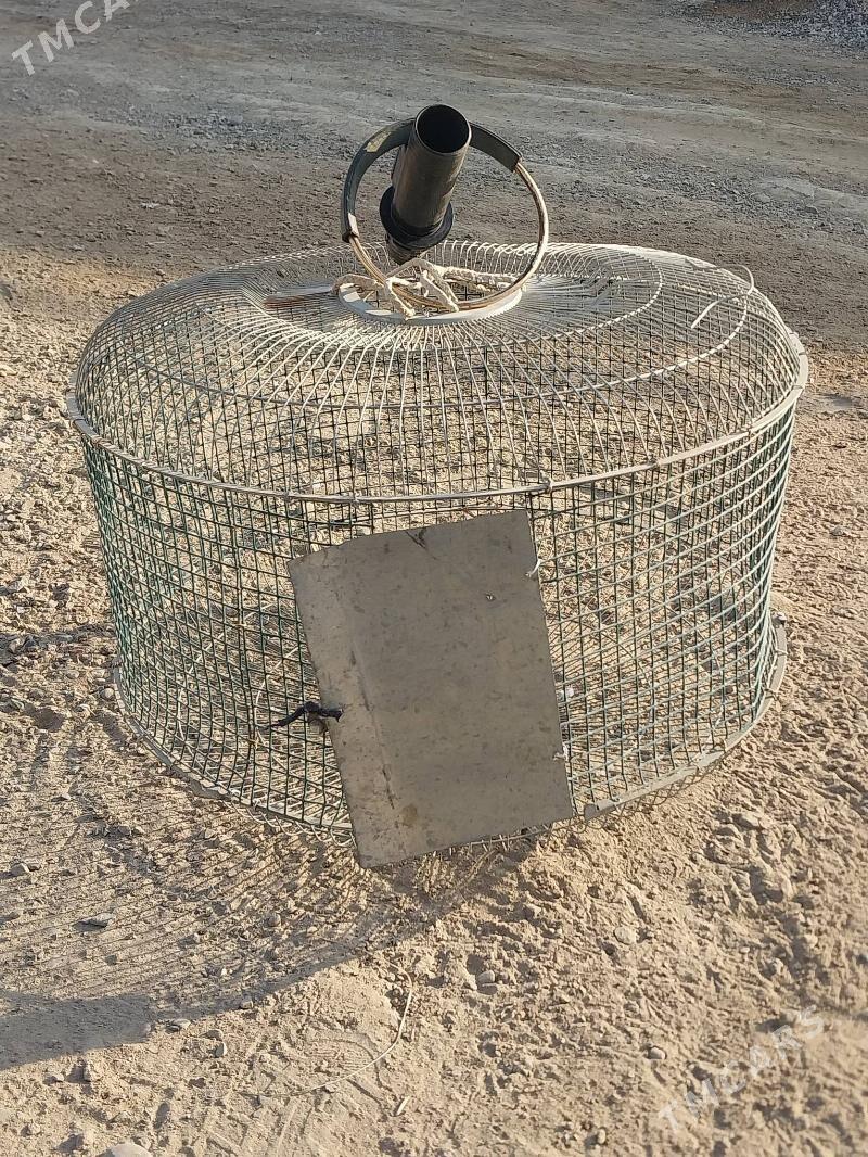 KAPASA. - Мургап - img 1