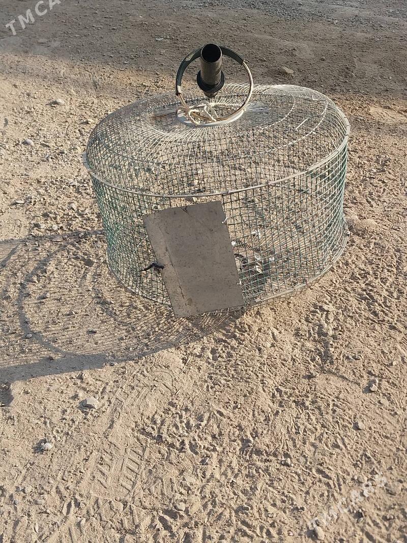 KAPASA. - Murgap - img 2