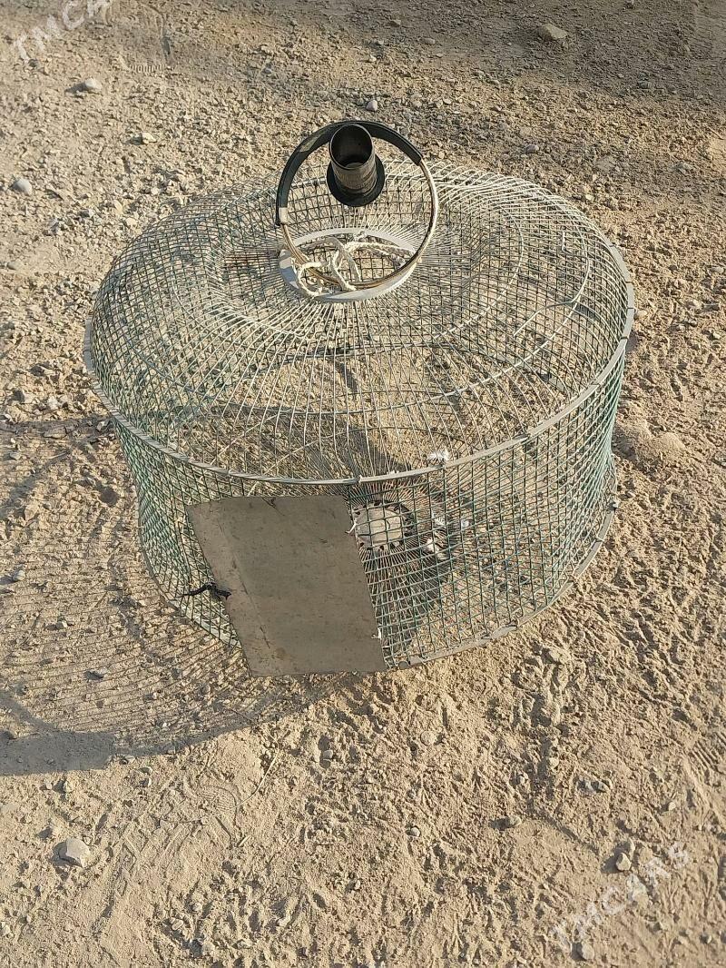 KAPASA. - Murgap - img 4