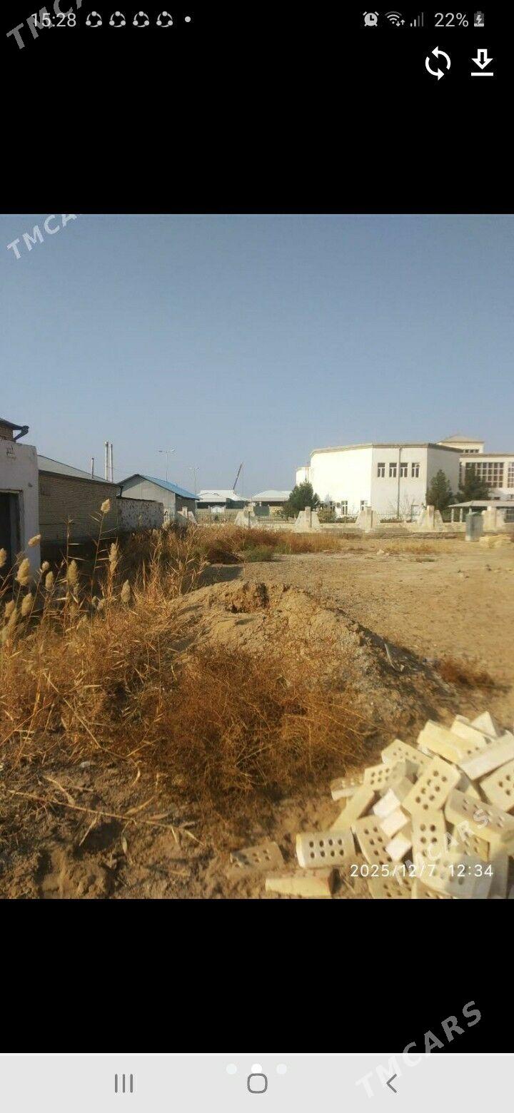 Меллек жай - Mary - img 2