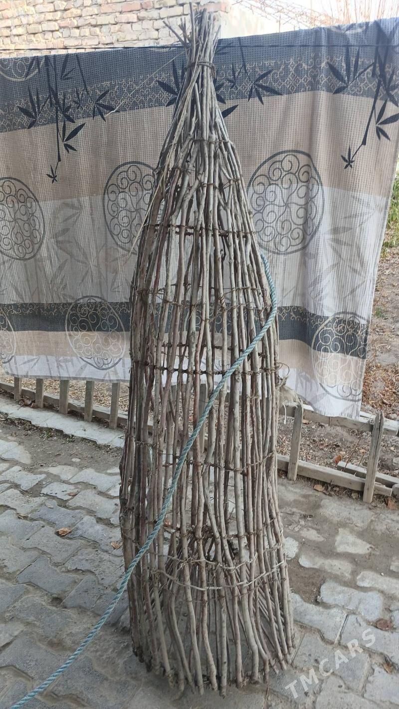 Balyk sewedi - Türkmenabat - img 1