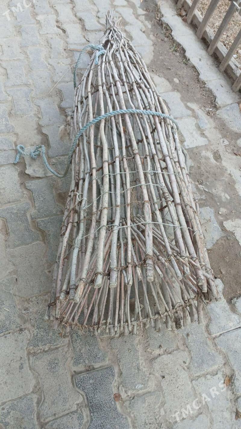 Balyk sewedi - Türkmenabat - img 3