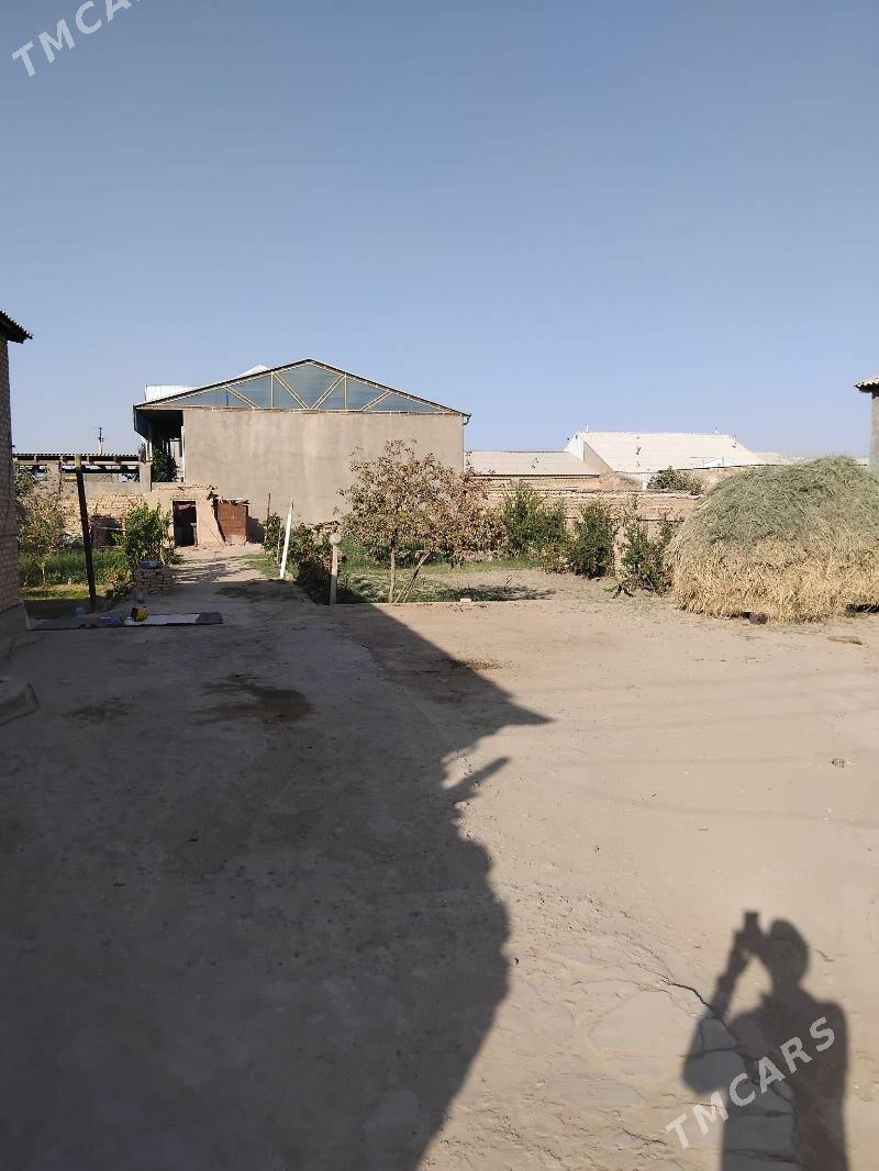 satlyk Jay yöleten șäher - Ýolöten - img 2