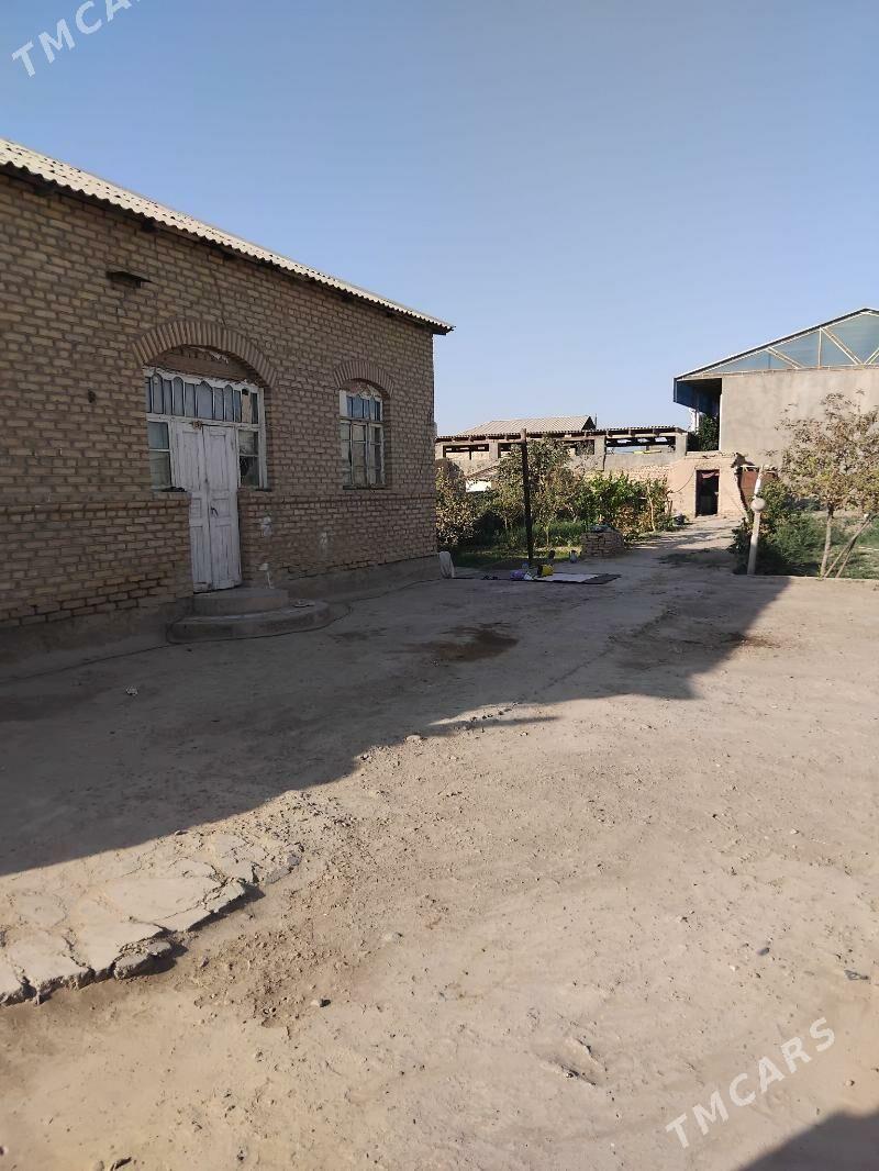 satlyk Jay yöleten șäher - Ýolöten - img 4