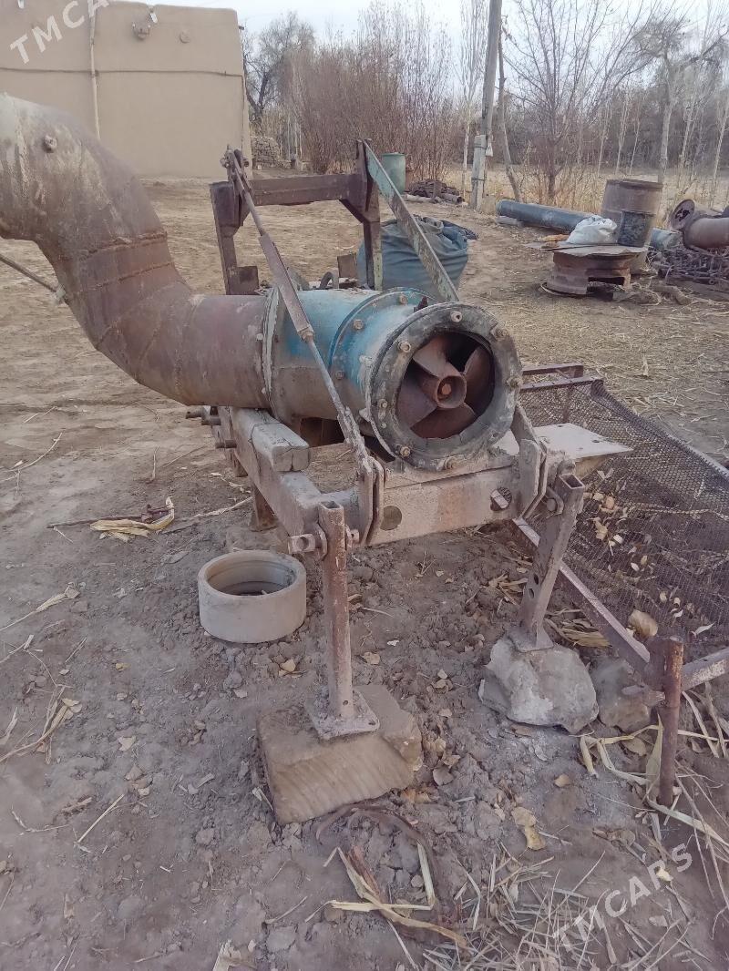 MTZ T-28 2025 - 50 000 TMT - Болдумсаз - img 1