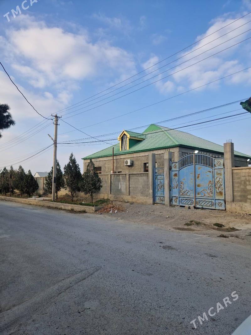 gokdepe jay - Gökdepe - img 1